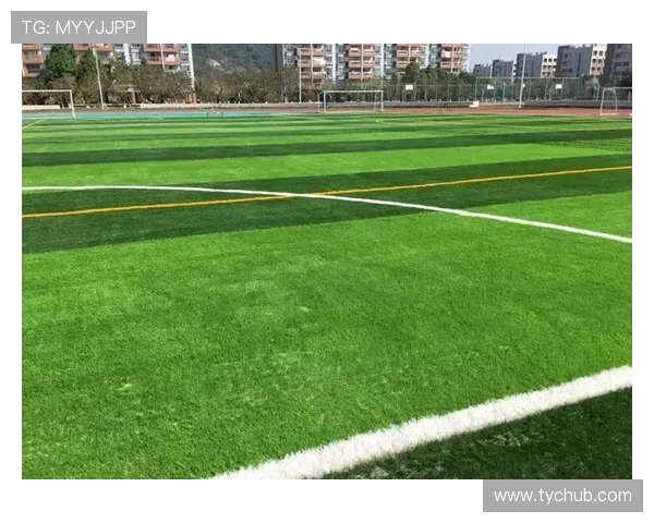 丽江市业余足球场周边环境提升规划及未来发展展望